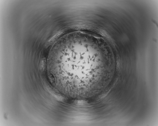 X0000100210165200805301333