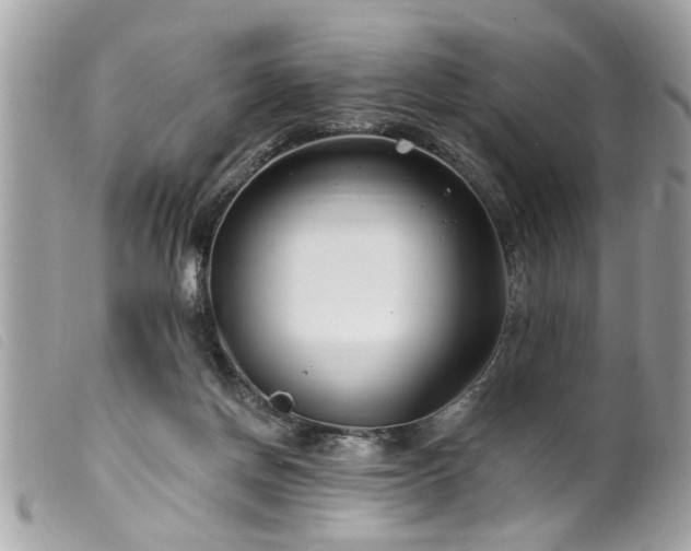 X0000100210166200805301333