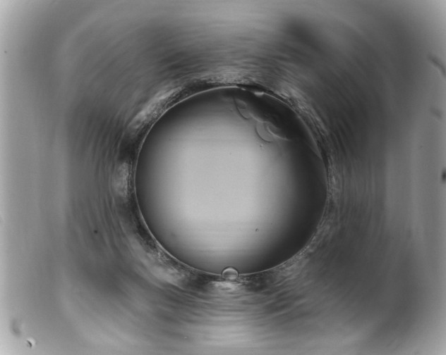 X0000100210167200805301333