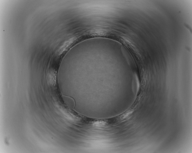 X0000100210168200805301333