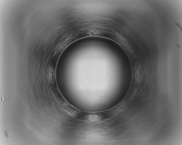 X0000100210169200805301333