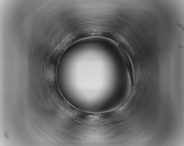 X0000100210170200805301333