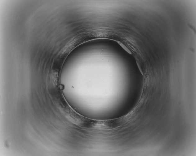 X0000100210171200805301333