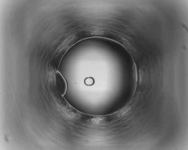 X0000100210172200805301333