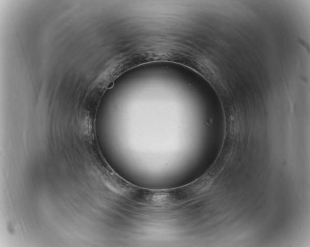 X0000100210173200805301333