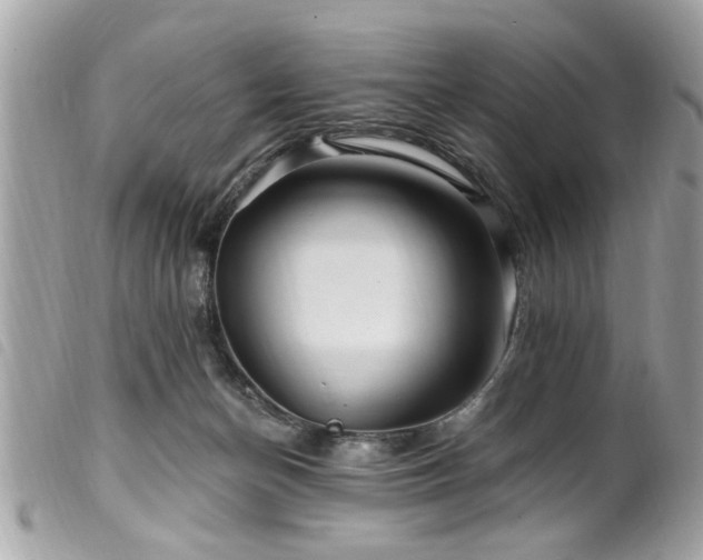 X0000100210174200805301333