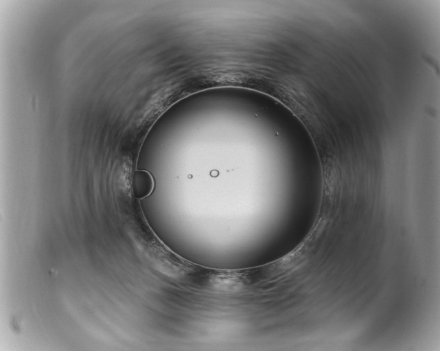 X0000100210175200805301333