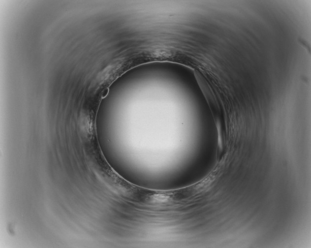 X0000100210176200805301333