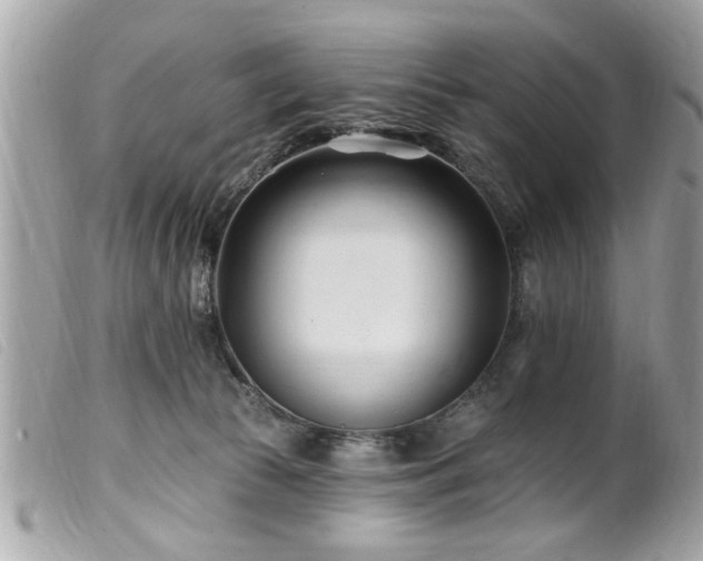 X0000100210177200805301333