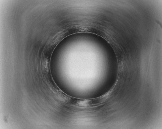 X0000100210178200805301333