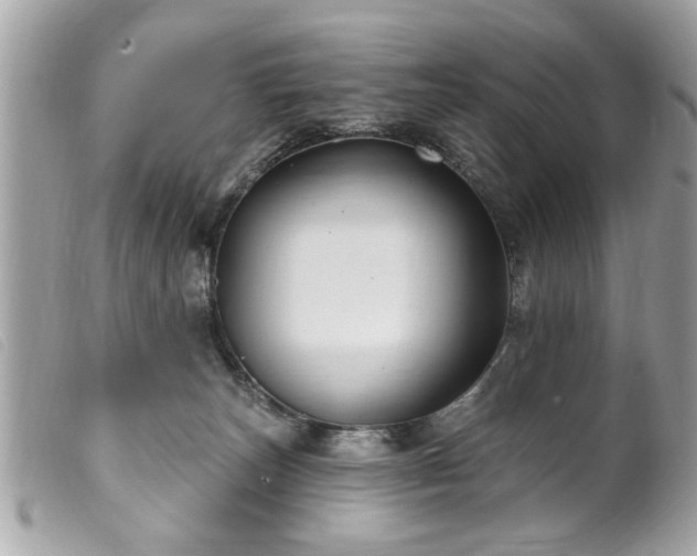 X0000100210179200805301333