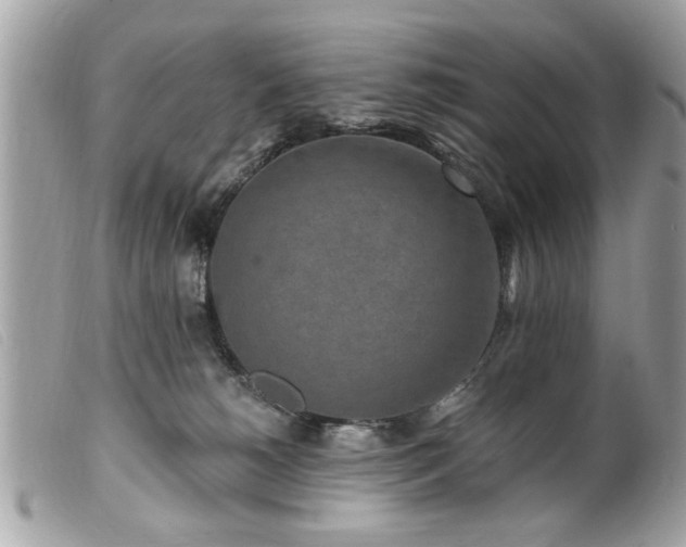 X0000100210180200805301333