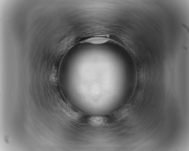 X0000100210181200805301333