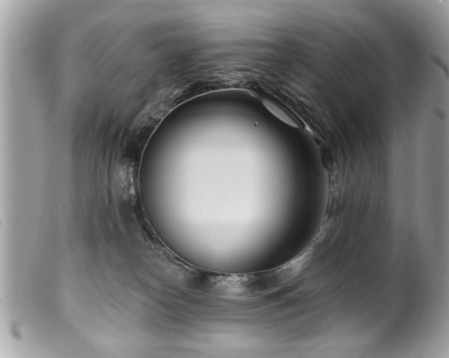 X0000100210182200805301333