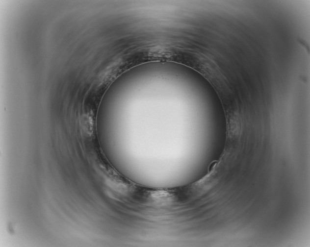 X0000100210183200805301333