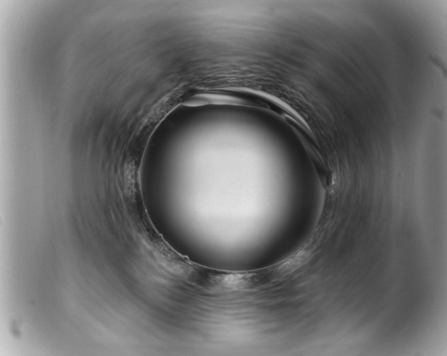 X0000100210184200805301333