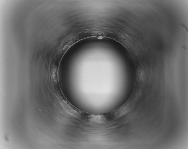 X0000100210185200805301333