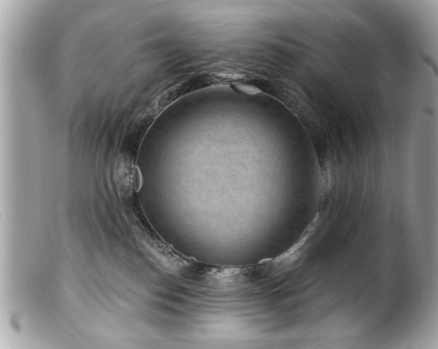 X0000100210186200805301333