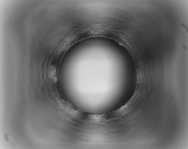 X0000100210187200805301333