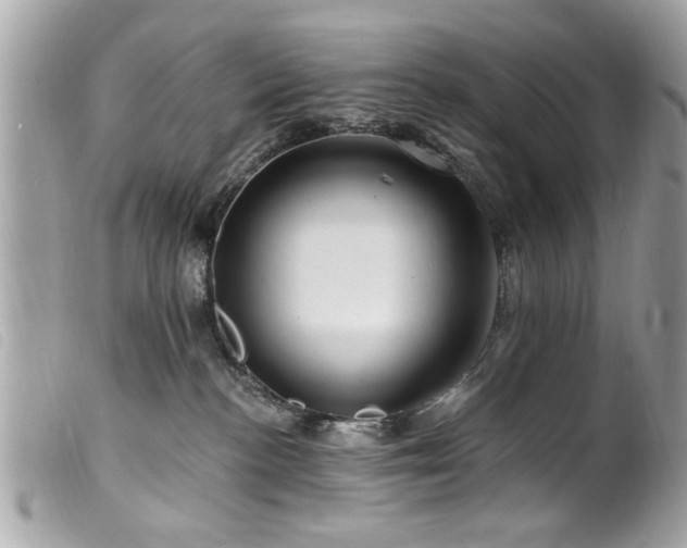 X0000100210188200805301333