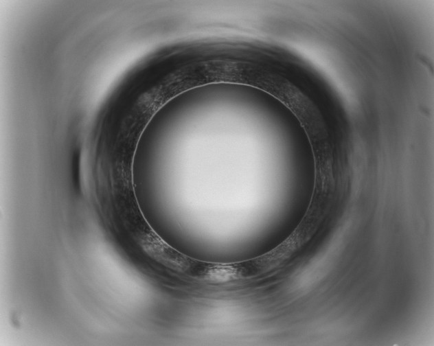 X0000100210189200805301333