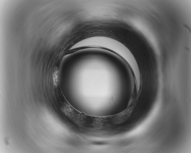 X0000100210190200805301333