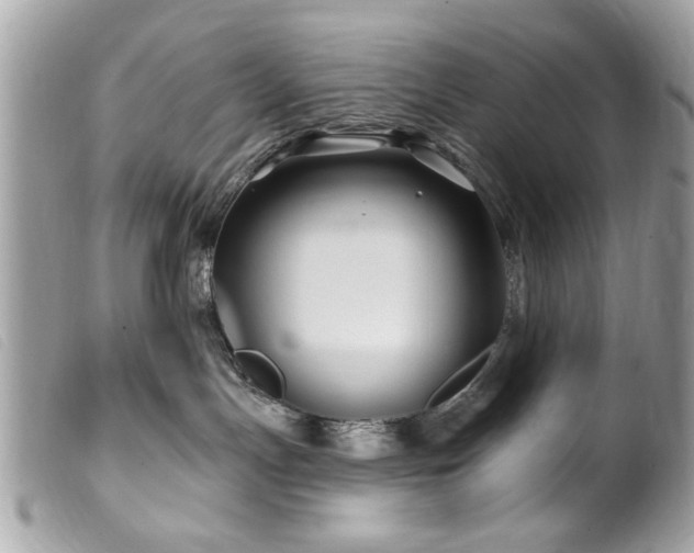 X0000100210191200805301333