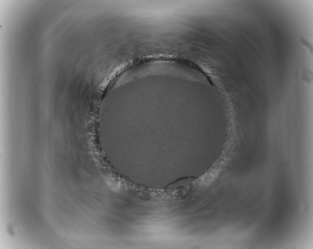 X0000100210192200805301333