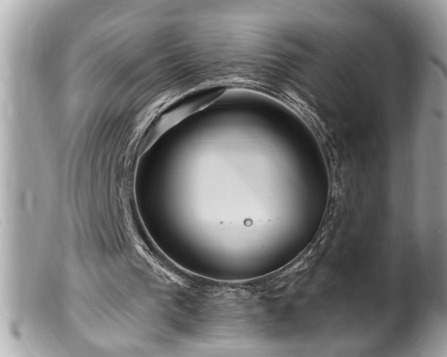 X0000100210193200805301333