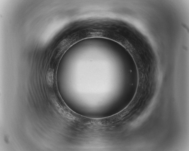 X0000100210194200805301333