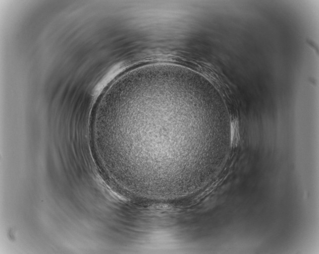 X0000100210195200805301333