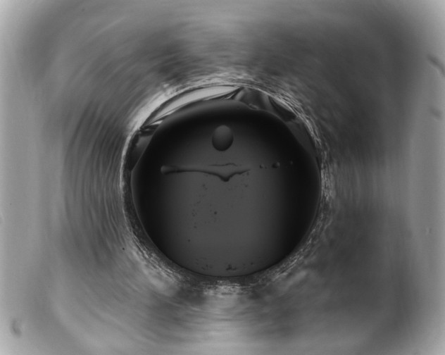 X0000100210196200805301333