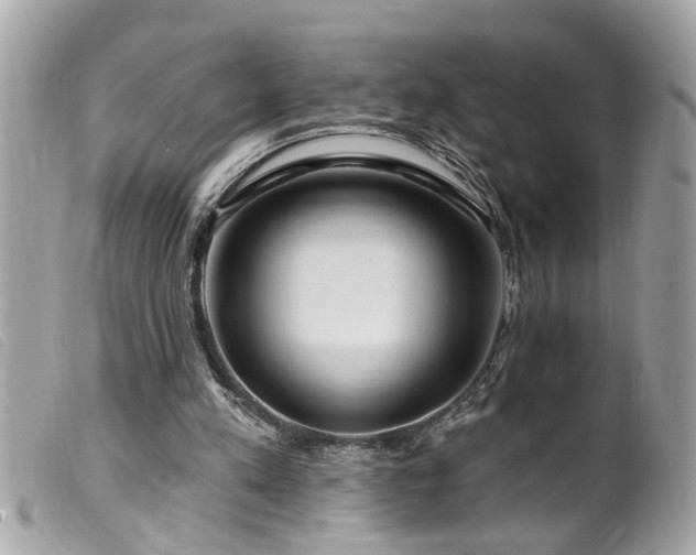 X0000100210197200805301333