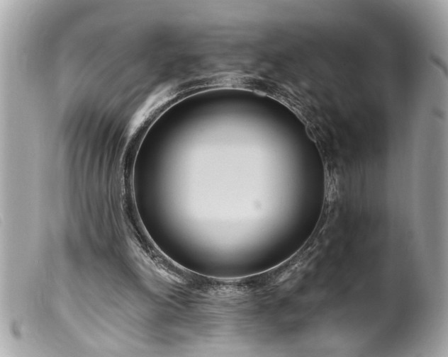 X0000100210198200805301333