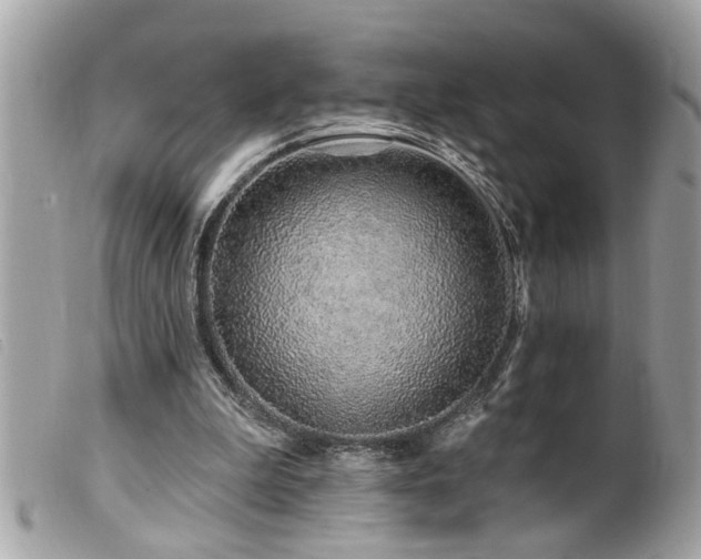 X0000100210199200805301333