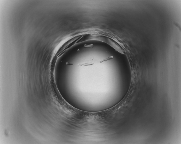 X0000100210200200805301333