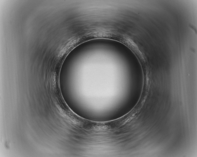 X0000100210202200805301333