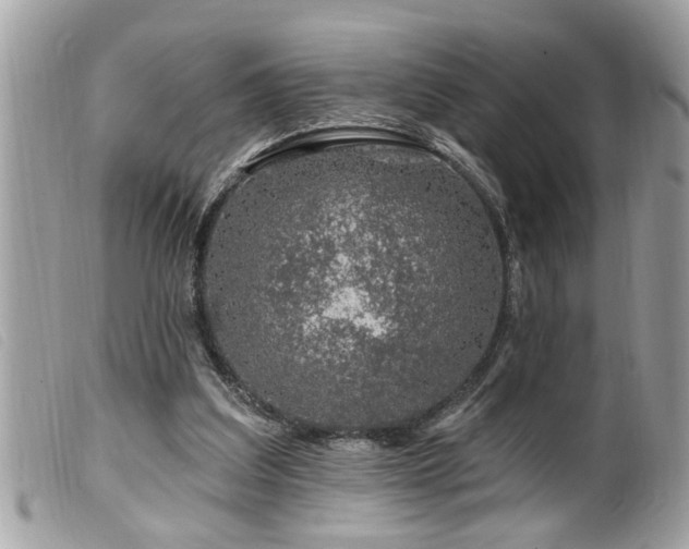 X0000100210203200805301333