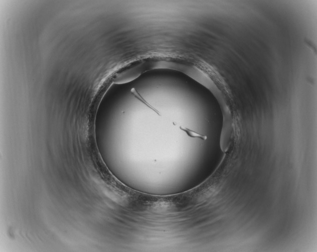 X0000100210204200805301333