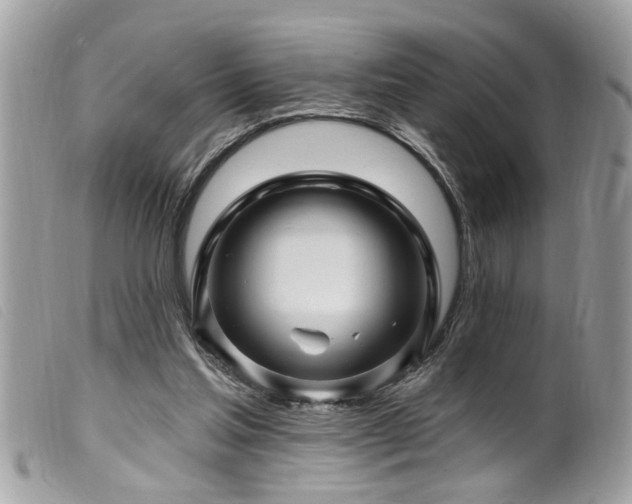 X0000100210205200805301333