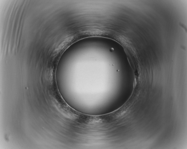 X0000100210206200805301333