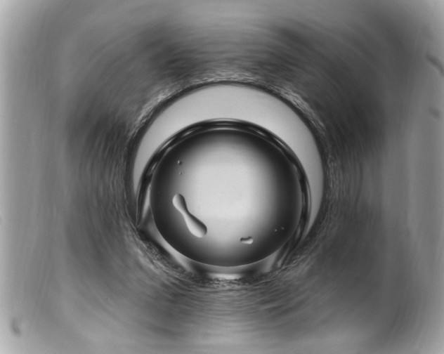 X0000100210207200805301333