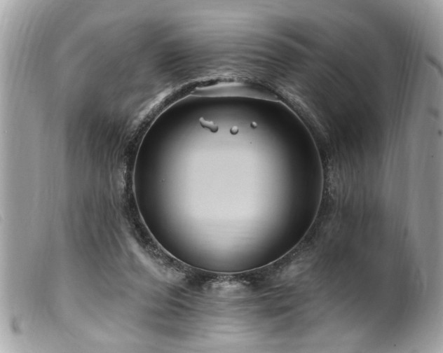 X0000100210208200805301333