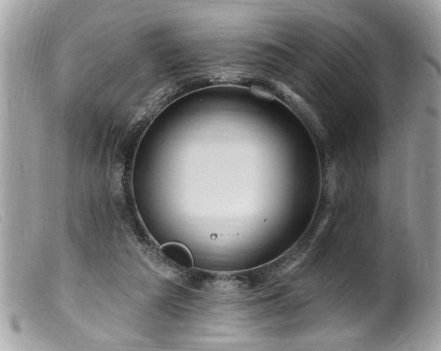 X0000100210209200805301333