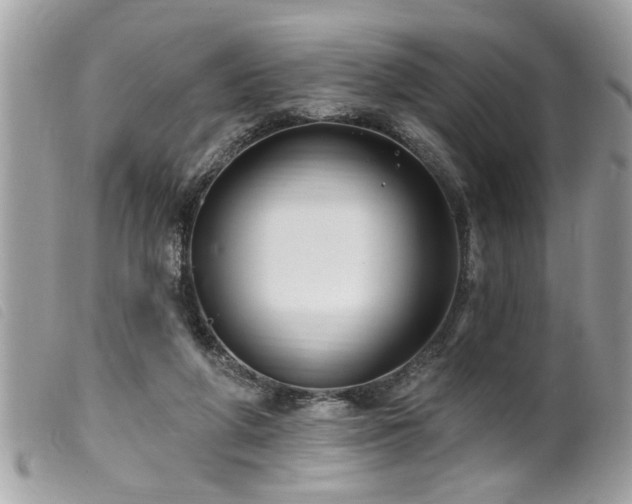 X0000100210210200805301333