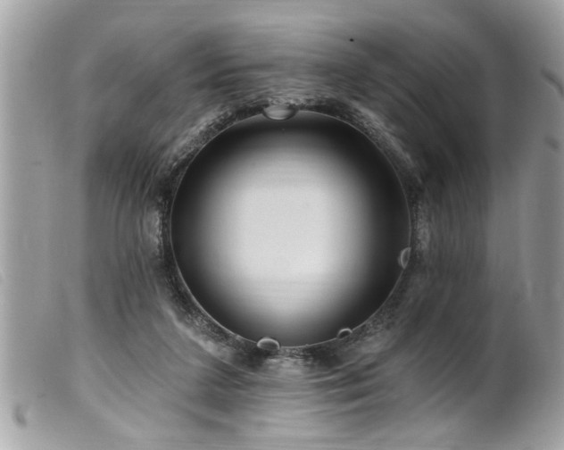 X0000100210211200805301333