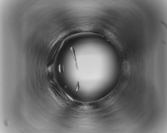 X0000100210212200805301333