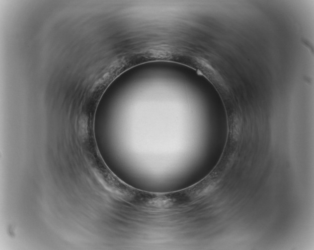 X0000100210213200805301333