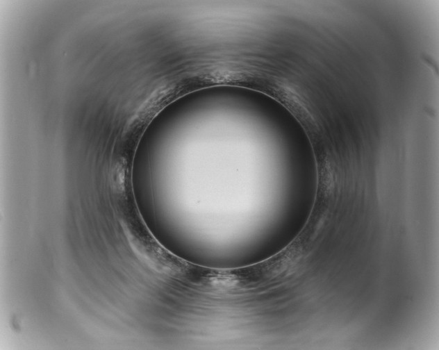 X0000100210214200805301333