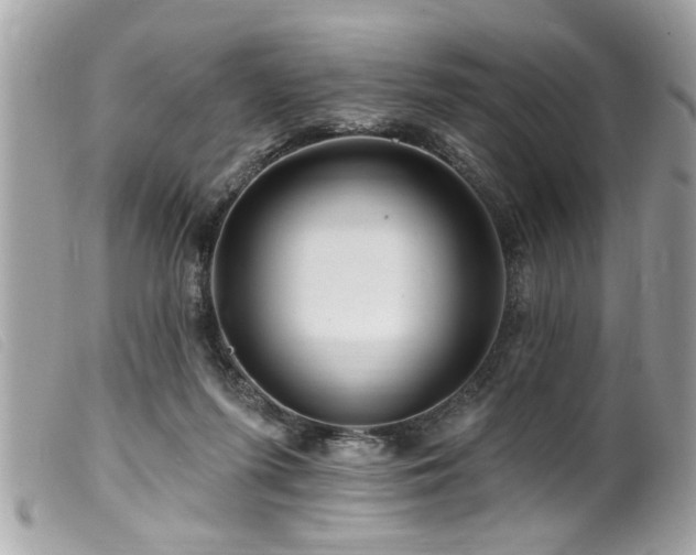 X0000100210215200805301332